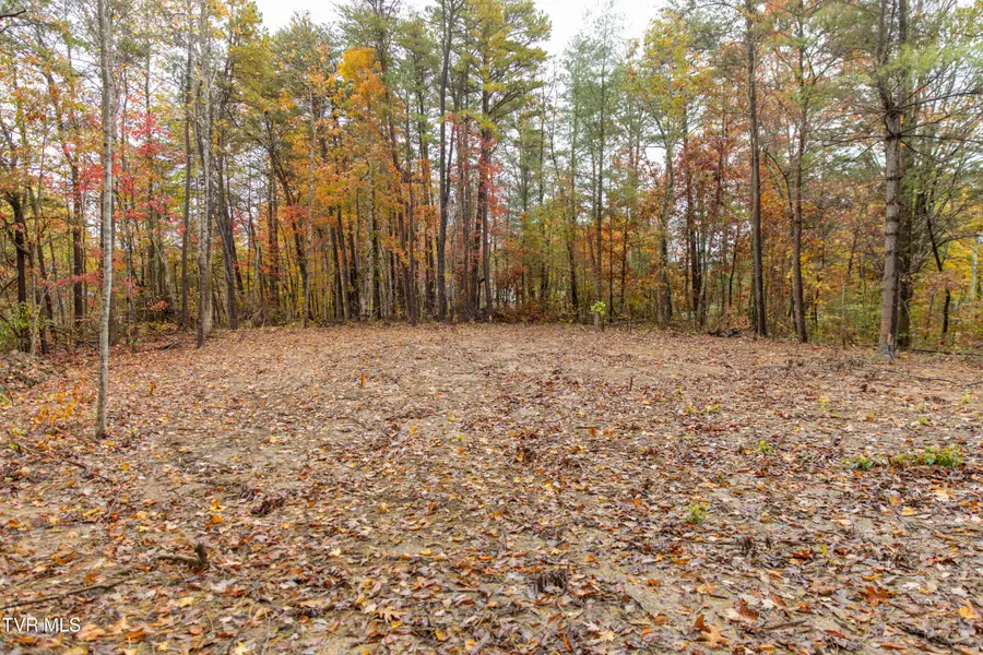 Tbd Bill Martin Road, Afton, TN 37616 - Image #2
