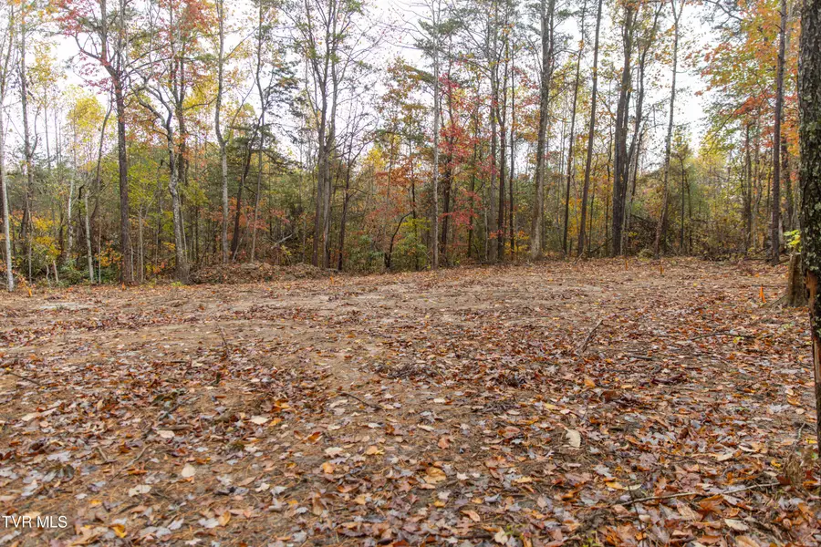 Tbd Bill Martin Road, Afton, TN 37616 - Image #3