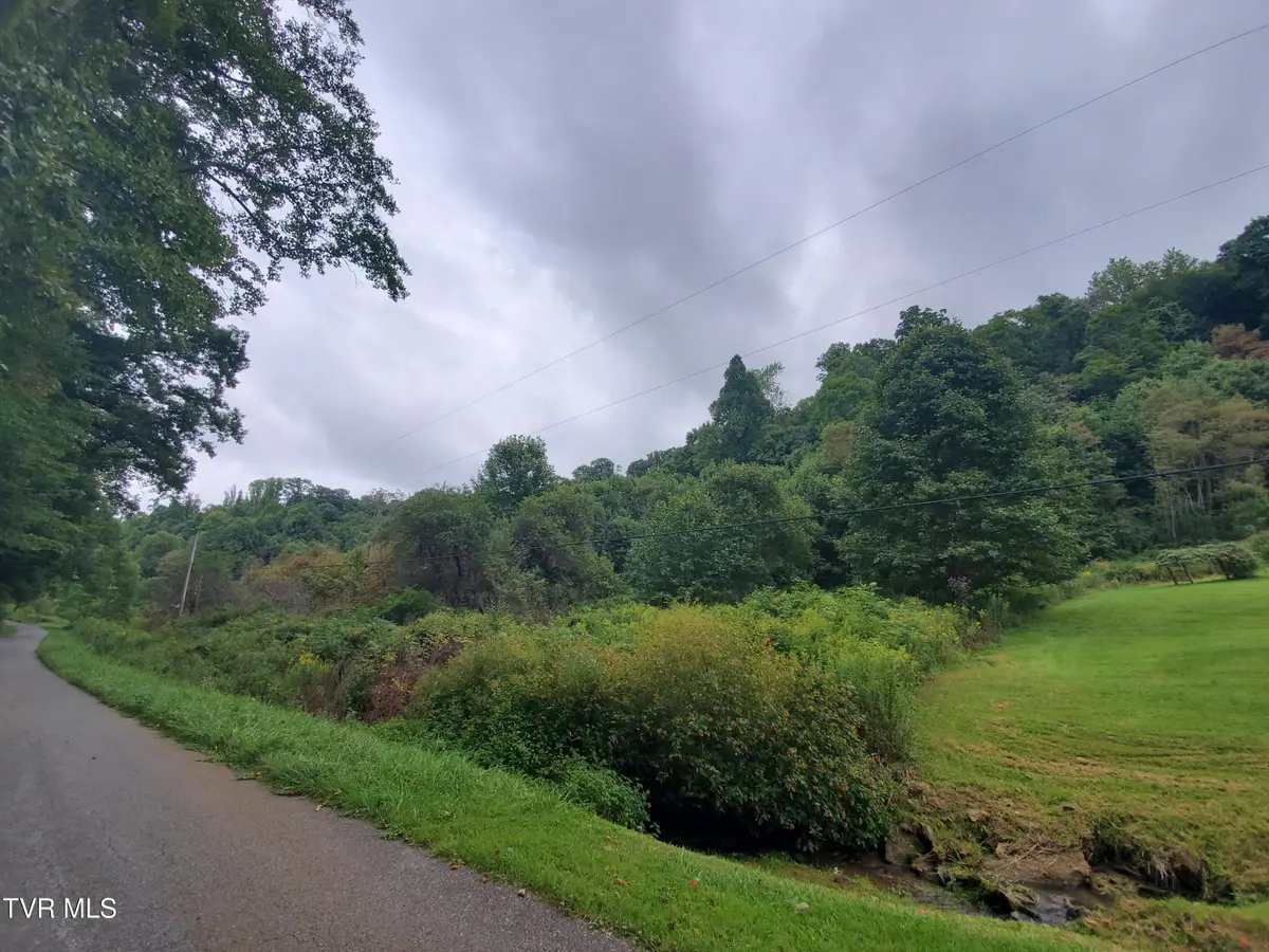 184 Garland Road, Roan Mountain, TN 37687 - Image #1