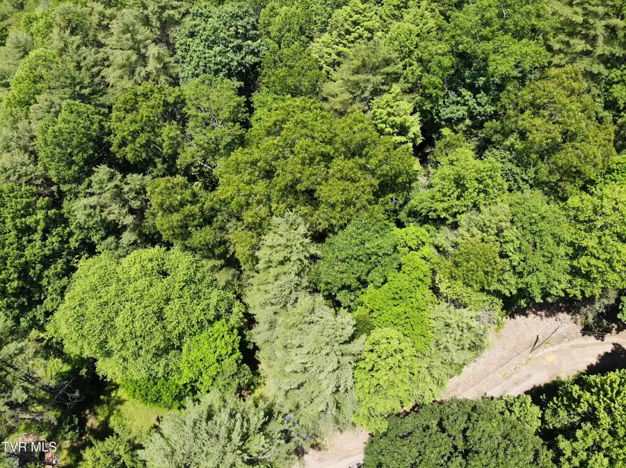 000 Woodchuck Way, Mountain City, TN 37683 - Image #3