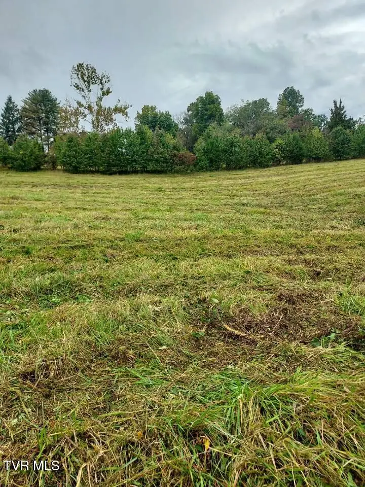 Tbd West Highway 11w, Surgoinsville, TN 37873 - Image #3