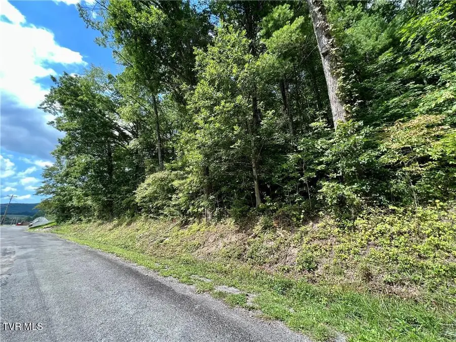 Tbd Rhea Road, Mountain City, TN 37683 - Image #2