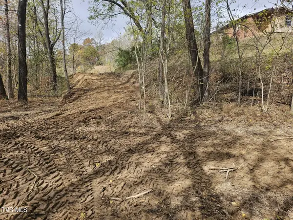 Tbd Blaine White Road, Erwin, TN 37650