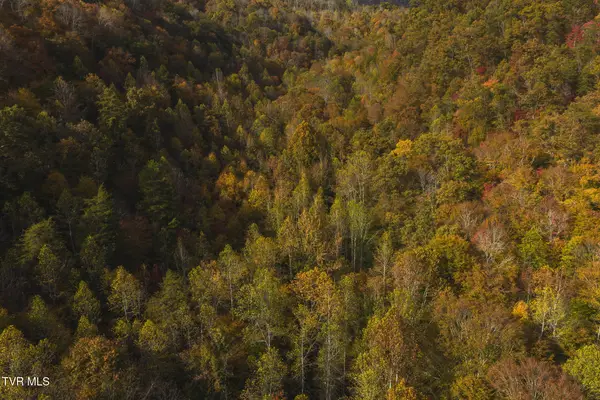 0 Livesay Chapel Road, Kyles Ford, TN 37765