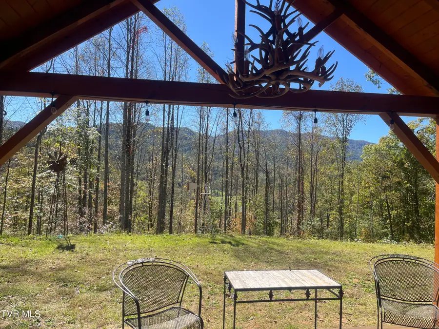 1575 Rice Creek Road, Flag Pond, TN 37657 - Image #2