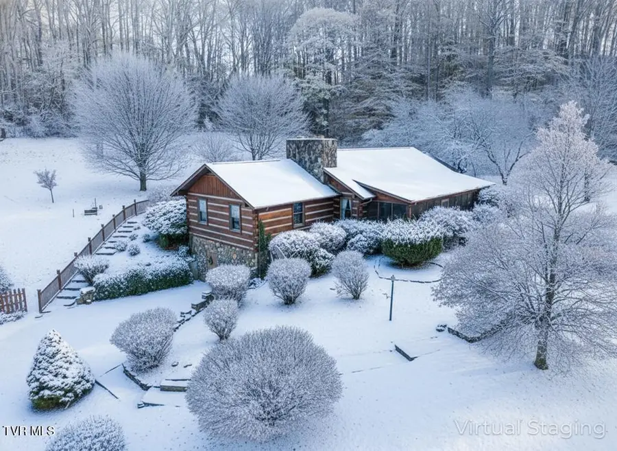 29616 Tobias Drive, Meadowview, VA 24361 - Image #2