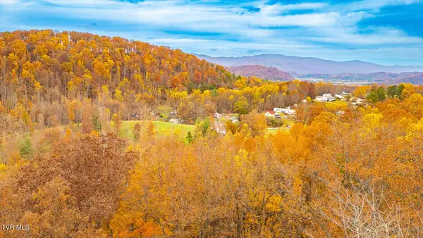 0 Siam Road, Elizabethton, TN 37643