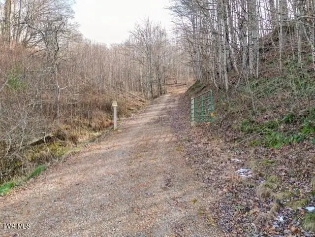 Tbd Fred Wallace Road, Trade, TN 37691 - Image #1