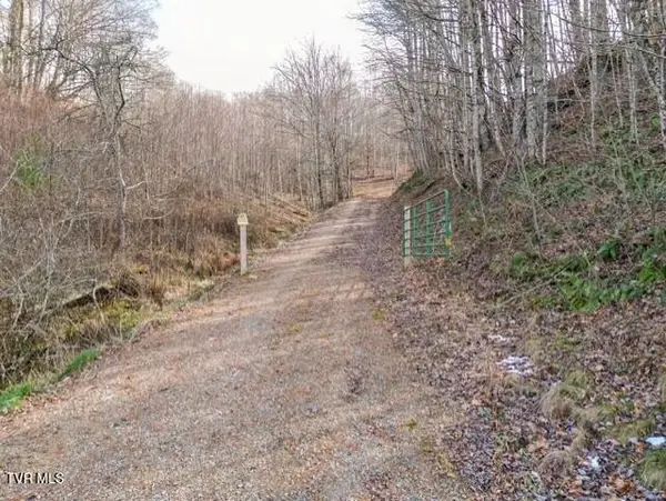 Tbd Fred Wallace Road, Trade, TN 37691