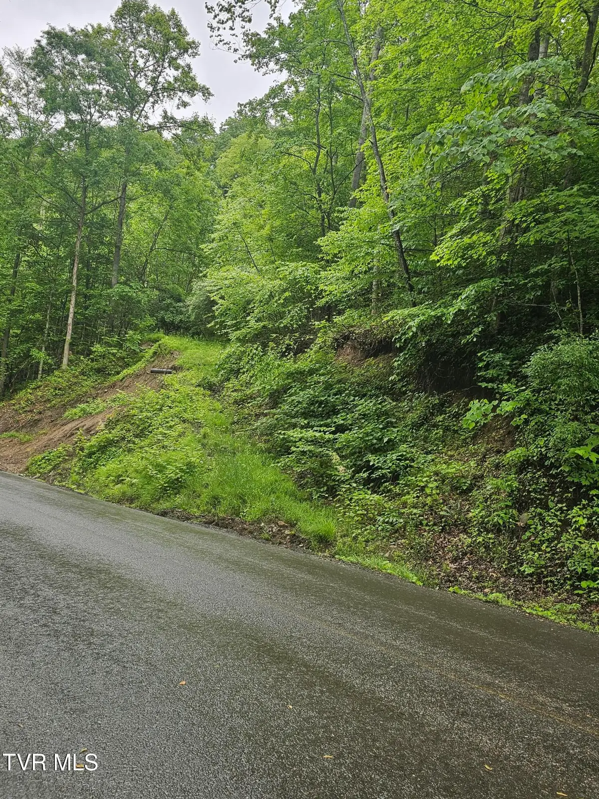 1068 Lesters Fork Road, Grundy, VA 24614 - Image #1