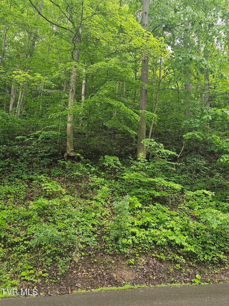 1068 Lesters Fork Road, Grundy, VA 24614 - Image #3