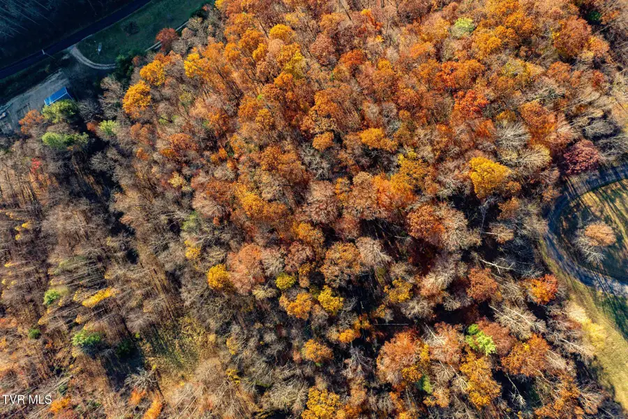 Lot 51 Redbud Circle, Butler, TN 37640 - Image #3