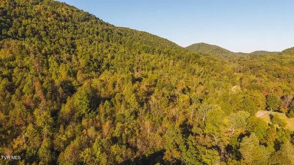 0 Black Valley Road, Sneedville, TN 37869