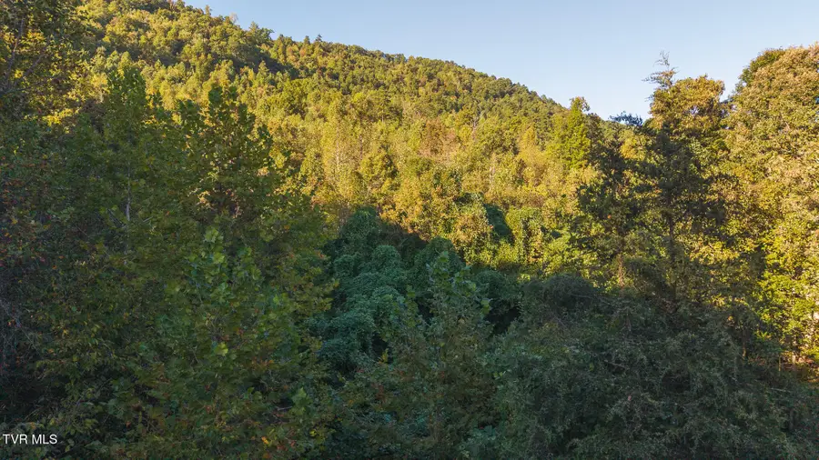 0 Black Valley Road, Sneedville, TN 37869 - Image #2