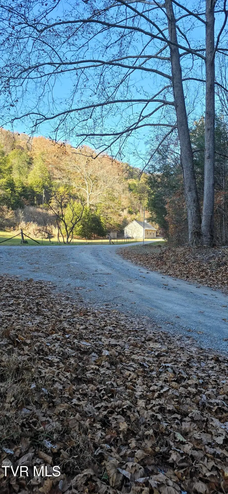 2351 Line Road, Eidson, TN 37731 - Image #3