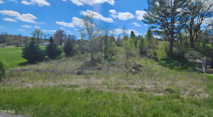 Tbd Honeysuckle Lane, Chuckey, TN 37641 - Image #2