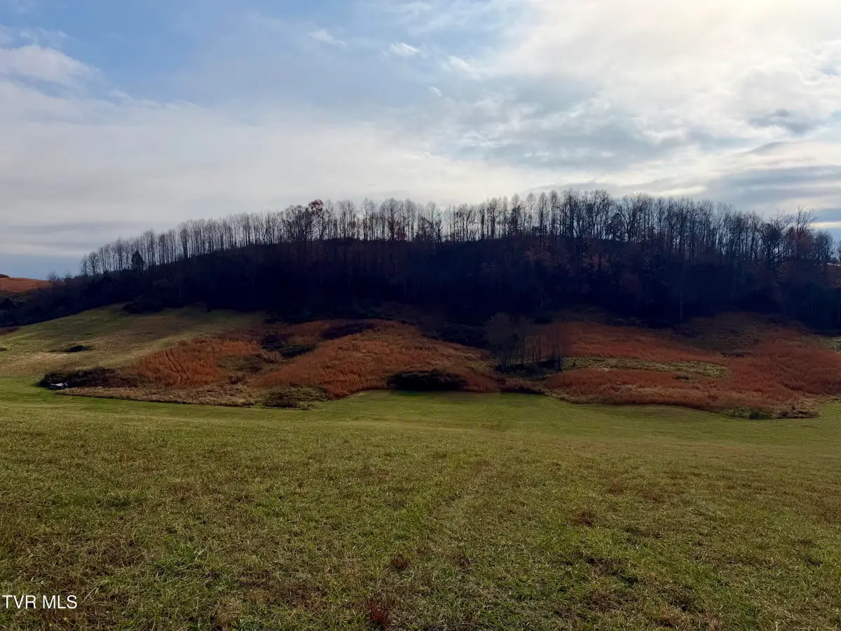 Tbd Thomas Lane, Bluff City, TN 37618 - Image #1
