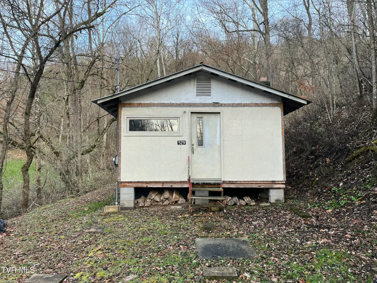 529 Stallard Lawson Cemetary Lane Lane, Fort Blackmore, VA 24250 - Image #1