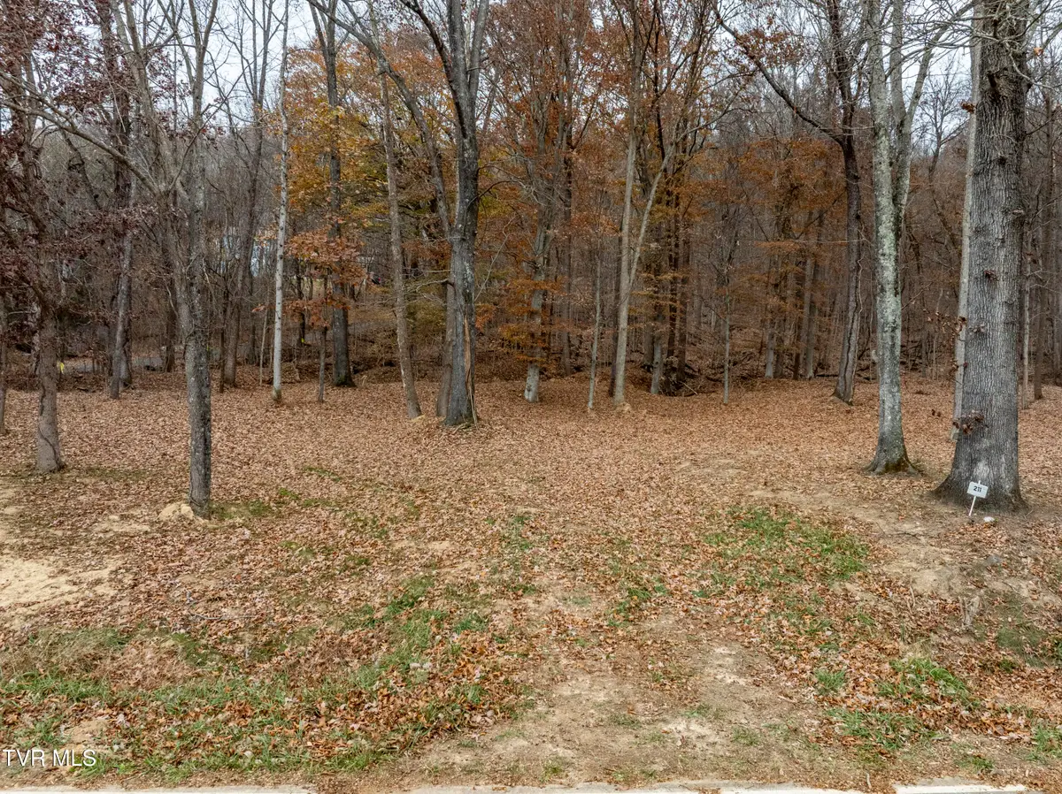 211 Rocky Branch Road, Blountville, TN 37617 - Image #1