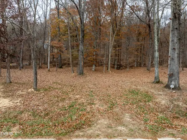 211 Rocky Branch Road, Blountville, TN 37617