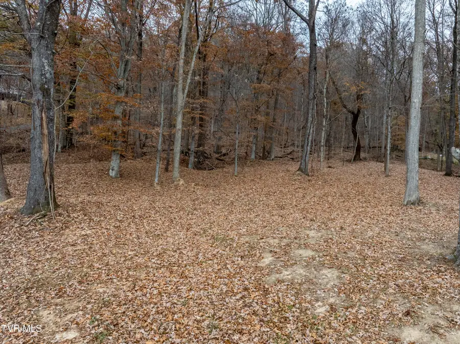 211 Rocky Branch Road, Blountville, TN 37617 - Image #2
