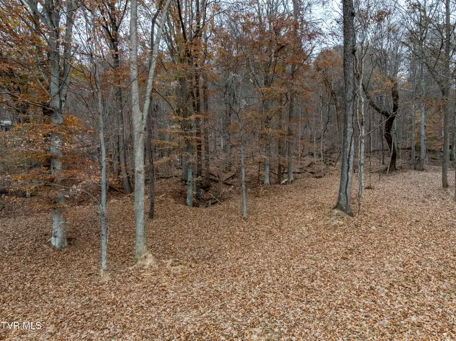 211 Rocky Branch Road, Blountville, TN 37617 - Image #3