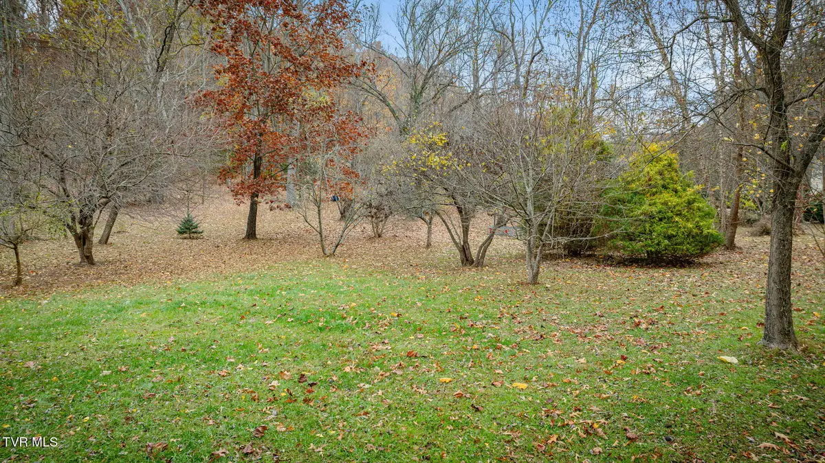 115 Mays Road, Elizabethton, TN 37643 - Image #1