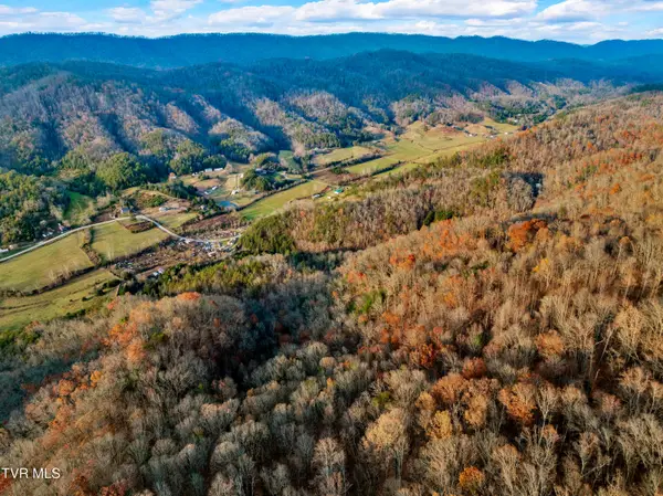 Tbd Panther Creek Road, Sneedville, TN 37869