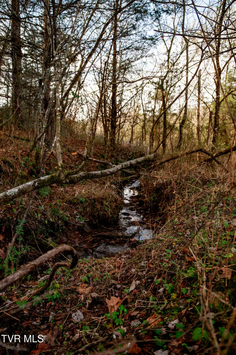 Tbd Panther Creek Road, Sneedville, TN 37869 - Image #2