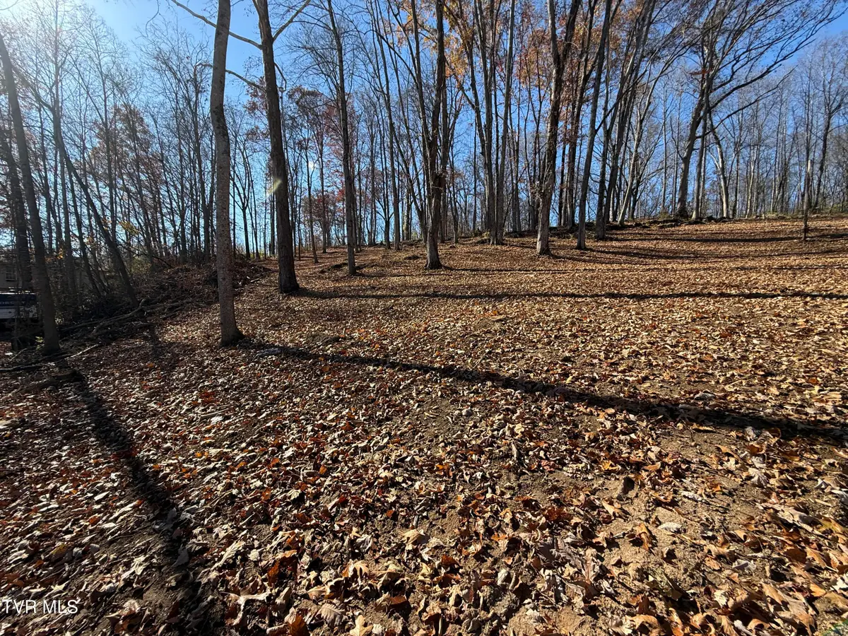 0 Milligan Highway, Johnson City, TN 37601 - Image #1