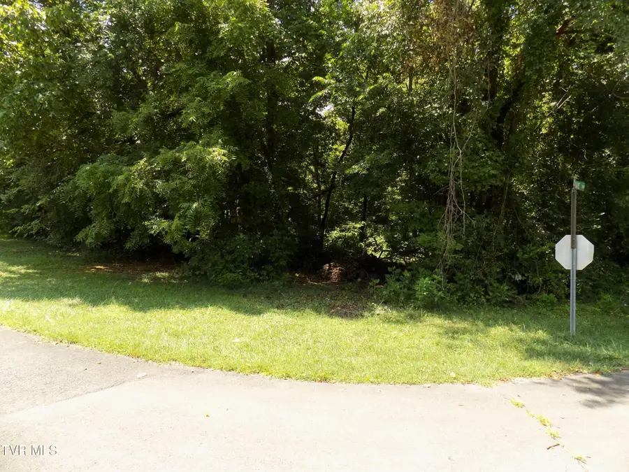 Tbd Lakeshore Circle, Rogersville, TN 37857 - Image #2