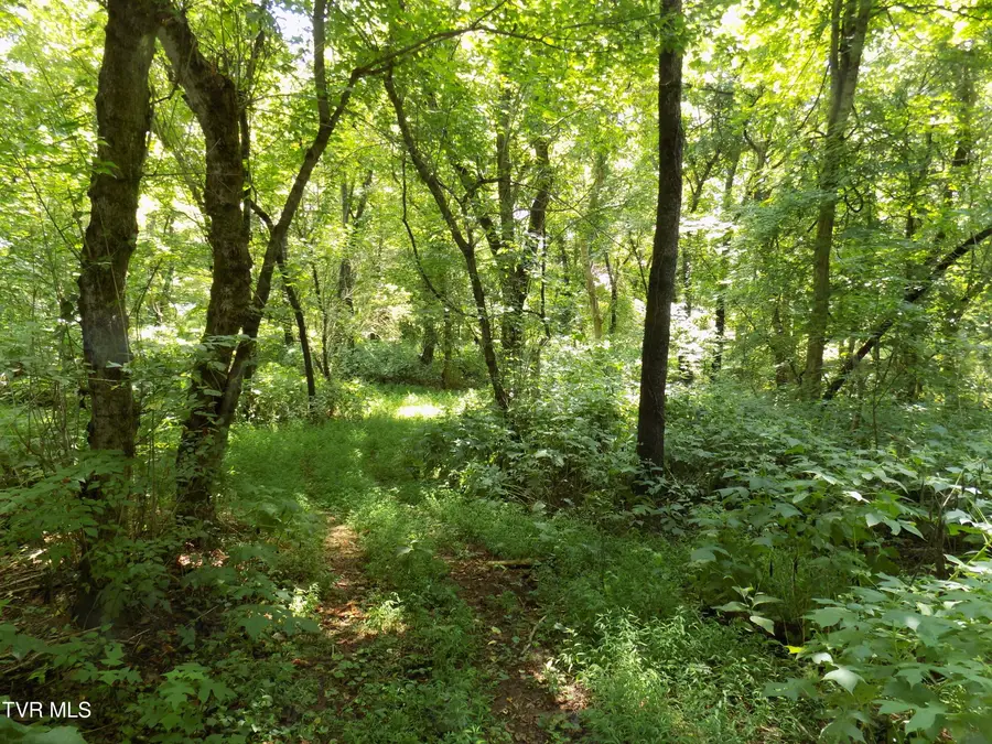 000 Timberlake Circle, Rogersville, TN 37857 - Image #2