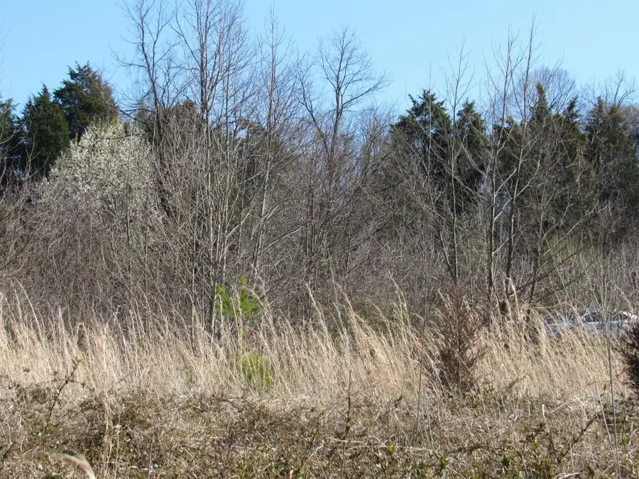 Lot 6 Rock Springs Road, Kingsport, TN 37664 - Image #2