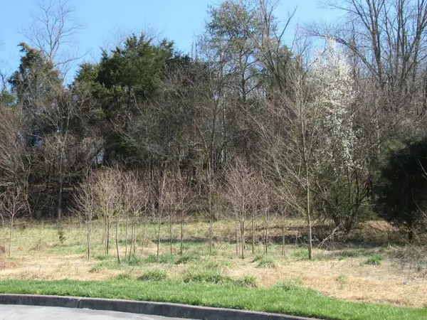 Lot 3 Lockport Circle, Kingsport, TN 37664