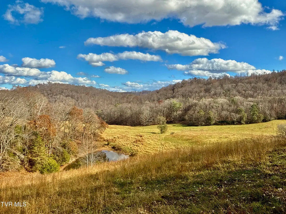 1520 Brittontown Road, Afton, TN 37616 - #1