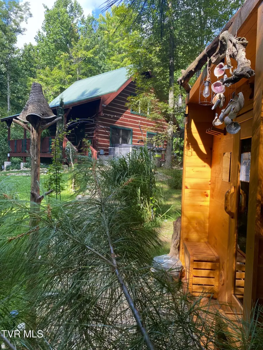 5150 Raven Branch Road, Del Rio, TN 37727 - #2