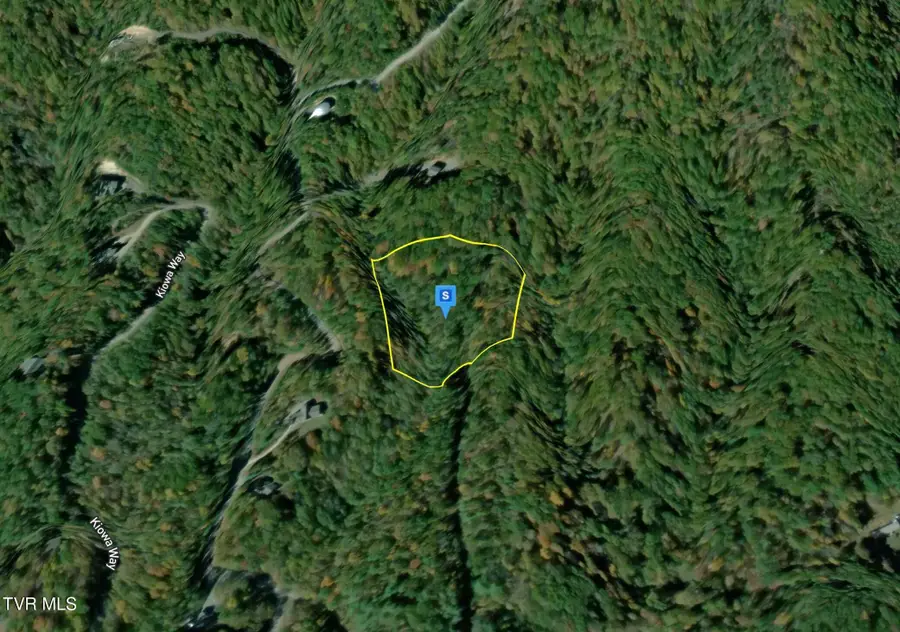 150 Zuni Way, Del Rio, TN 37727 - Image #2