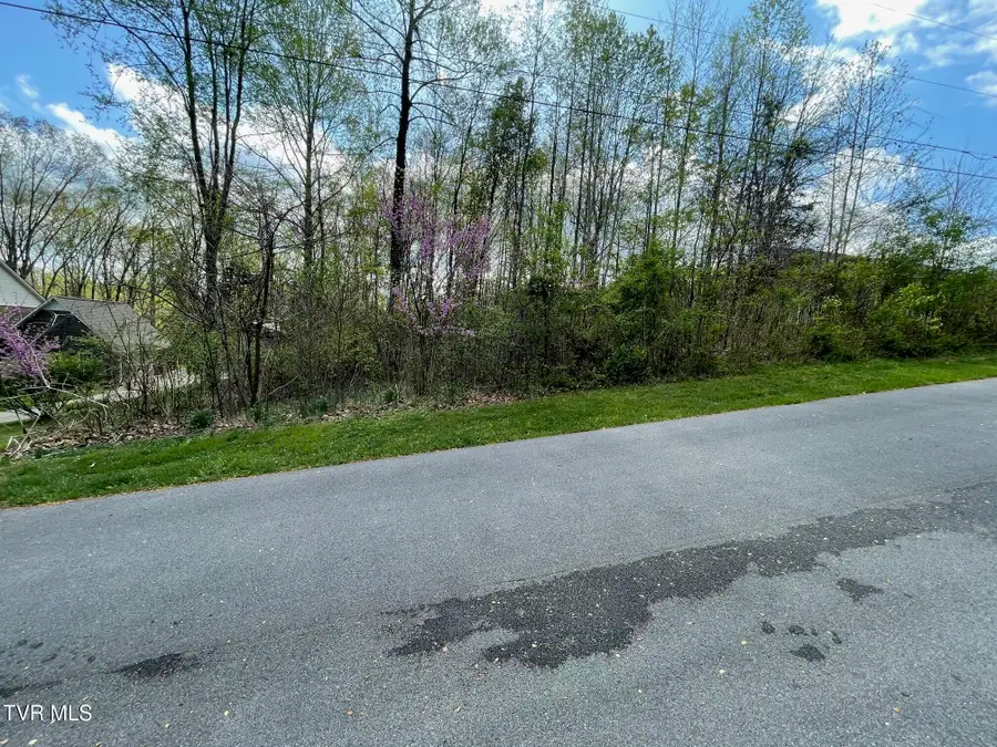 354 Glasgow Lane, Blountville, TN 37617 - #2