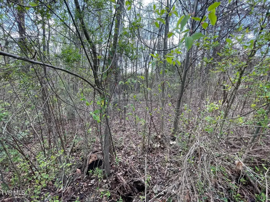 354 Glasgow Lane, Blountville, TN 37617 - #3