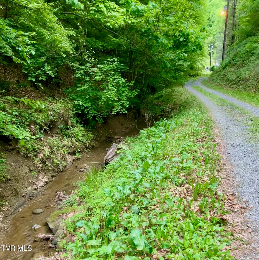 4127 Middlebrook Way, Saint Paul, VA 24283 - Image #3