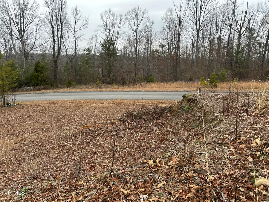 252 Carrie Circle, Mount Carmel, TN 37645 - Image #2