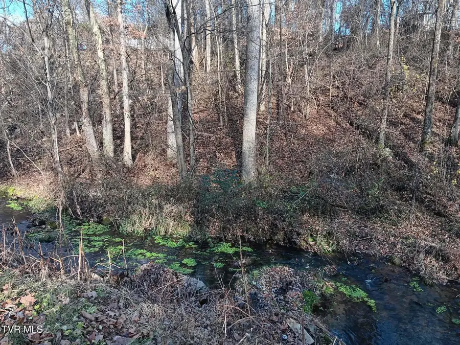 000 Independence Ave, Mount Carmel, TN 37645 - Image #2