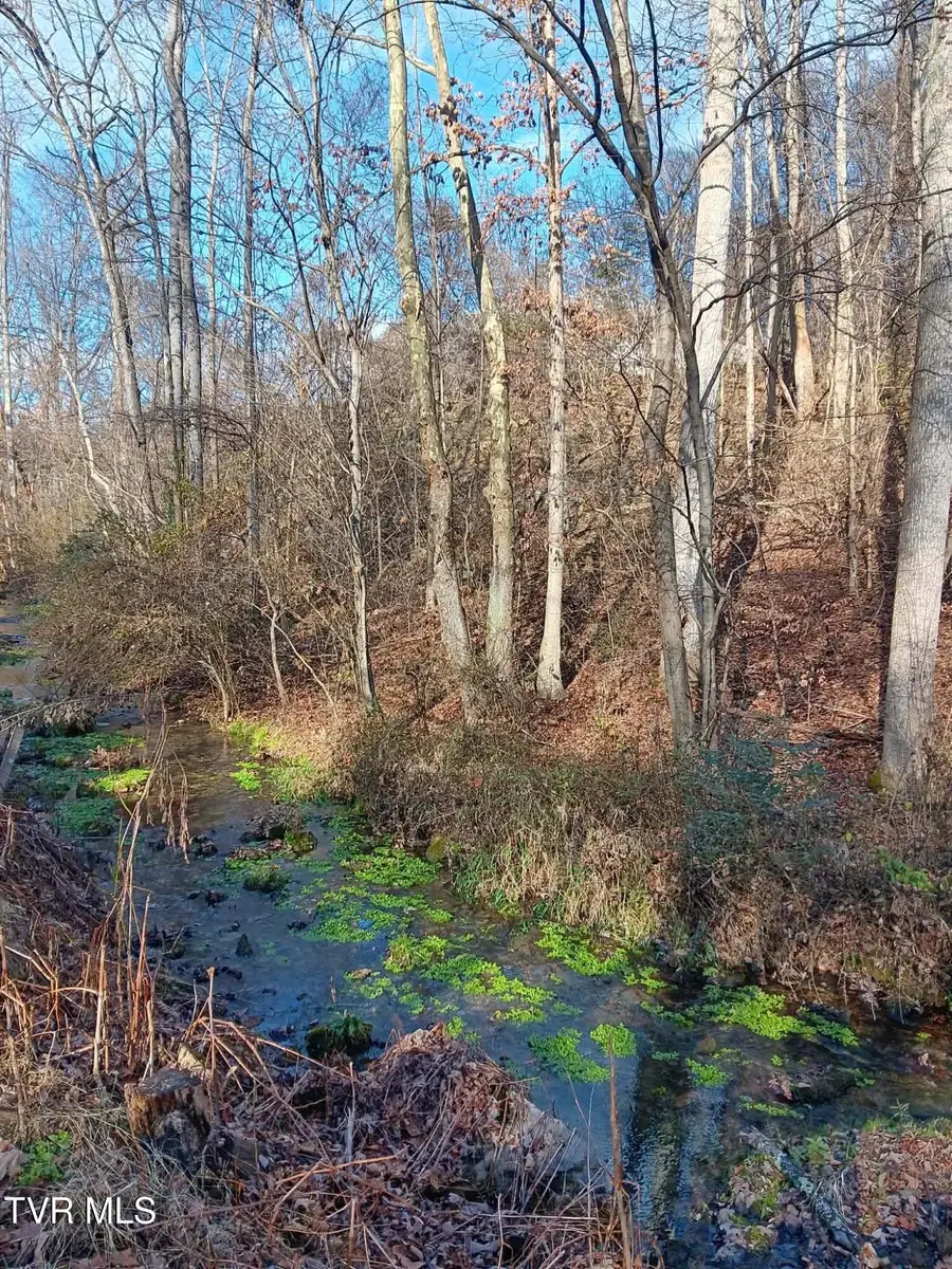 000 Independence Ave, Mount Carmel, TN 37645 - Image #3