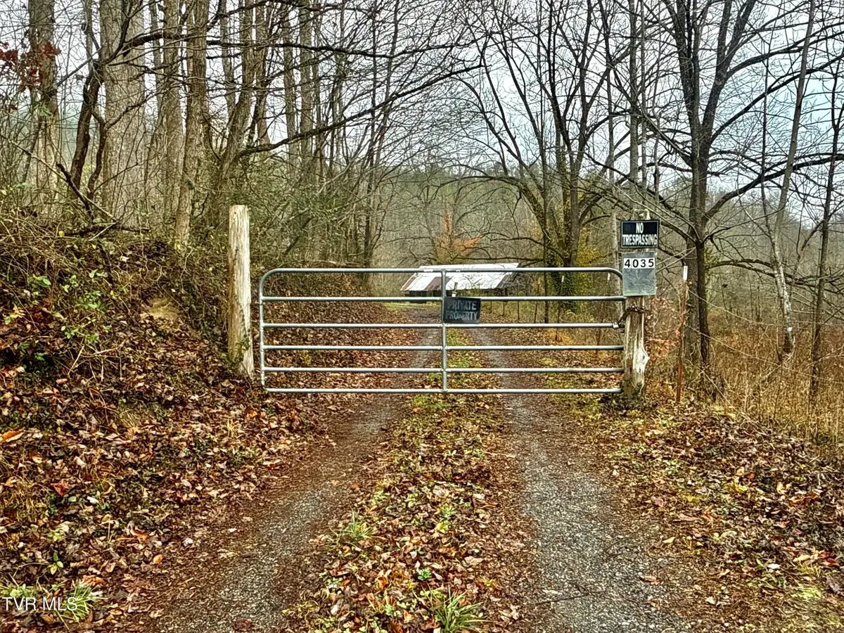 4035 Lindsey Gap Road, Cosby, TN 37722 - Image #1