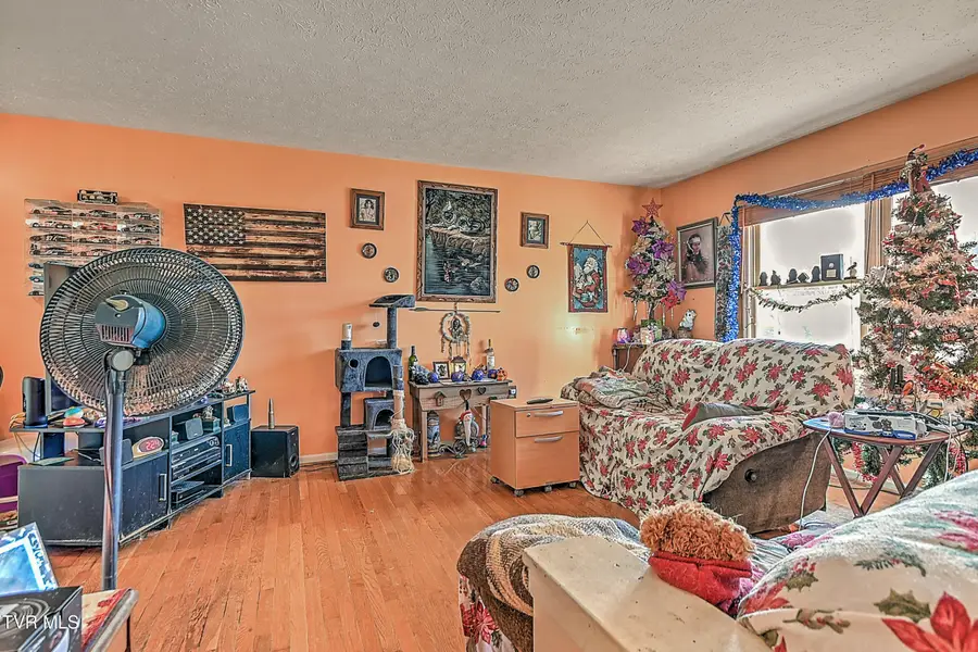 1041 Okrina Drive, Church Hill, TN 37642 - Image #2