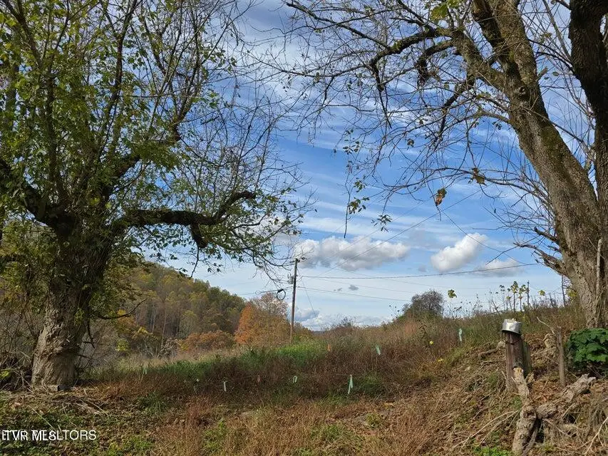 227 Elihu Road, Sneedville, TN 37869 - Image #3