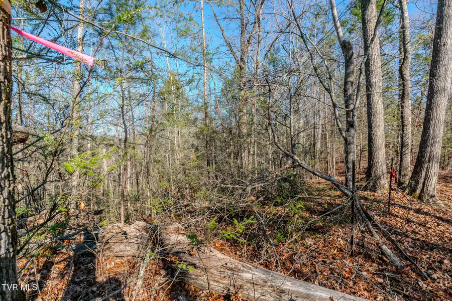 22r Shady Grove Court, Sevierville, TN 37876 - Image #2