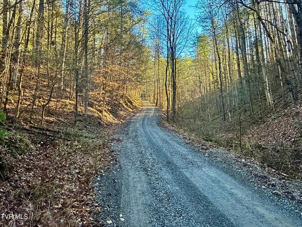 25.72/Ac Tbd Rollins Road, Hartford, TN 37753 - Image #1