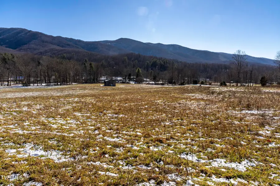 3039 Hwy 91, Elizabethton, TN 37643 - #2