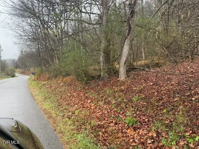 Tbd Fork River Road, Abingdon, VA 24210 - Image #2